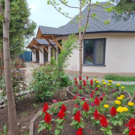 Happy Nomads Yurts & Hostel 卡拉科尔 外观 照片