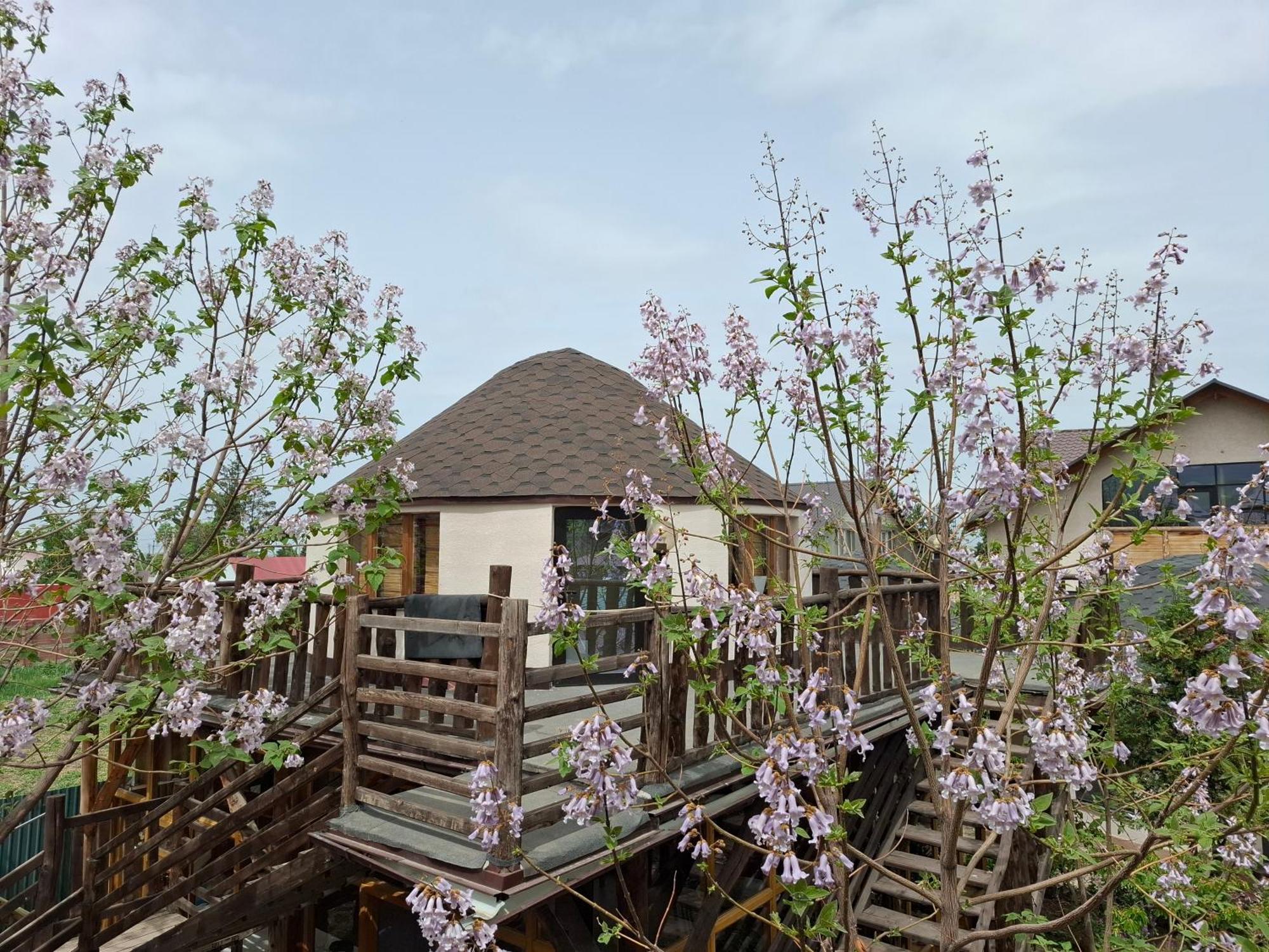 Happy Nomads Yurts & Hostel 卡拉科尔 外观 照片