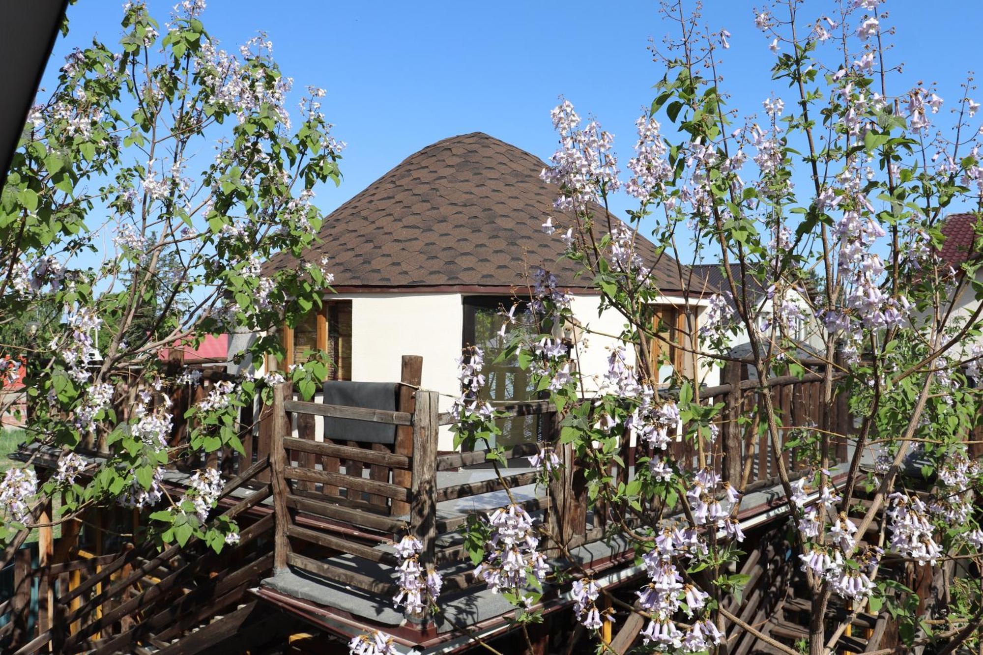 Happy Nomads Yurts & Hostel 卡拉科尔 外观 照片